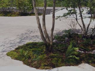 空庭 Jardins asiáticos