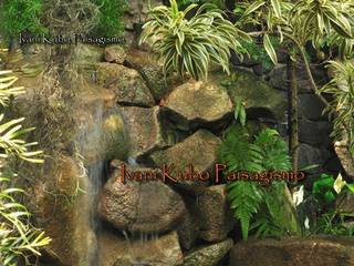 JARDIM TROPICAL COM LAGO E CASCATA, Ivani Kubo Paisagismo Ivani Kubo Paisagismo مساحات تجارية