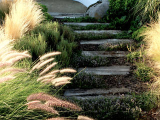 Banco ondulado com vista ao campo, Atelier Jardins do Sul Atelier Jardins do Sul สวน