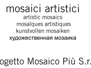 Realizzazioni, Progetto Mosaico più Srl Progetto Mosaico più Srl