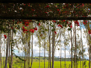 Fazenda Santa Izabel, LM Arquitetura | Conceito LM Arquitetura | Conceito حديقة