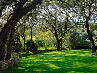 //SALON DE PROVENCE//Jardin minimaliste, CONCEPTUELLES PAYSAGE ET DECORATION CONCEPTUELLES PAYSAGE ET DECORATION Minimalist style garden