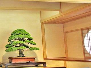 Bonsai und Tokonoma, LuxuryTrees ® LuxuryTrees ® 和風デザインの リビング