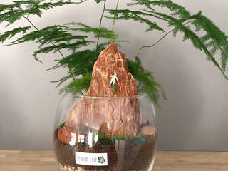 Climber Terrarium, Terrarium love Terrarium love Interior garden