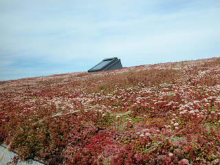 Romney Marsh Visitors Centre, BBM Sustainable Design Limited BBM Sustainable Design Limited