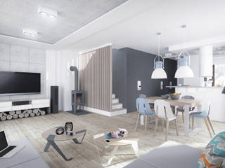 DUOTRZYDWA, NA NO WO ARCHITEKCI NA NO WO ARCHITEKCI Scandinavian style living room Concrete