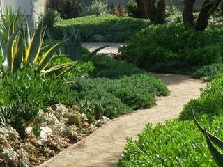 Jardim de suculentas, Atelier Jardins do Sul Atelier Jardins do Sul Jardines de estilo mediterráneo