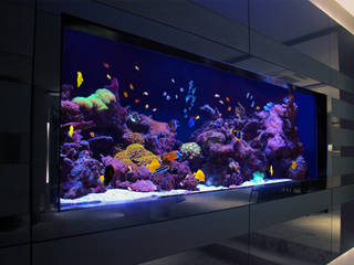 Richmond Residence , Aquarium Architecture Aquarium Architecture Moderne Wohnzimmer
