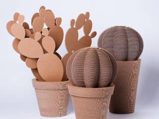 CactusNext — NextMaterials, 2012 (brevetto), studiograffe studiograffe Modern Kitchen Paper Small appliances