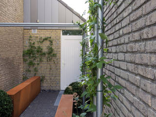 Kleine tuin in Made, De Rooy Hoveniers De Rooy Hoveniers Taman Modern
