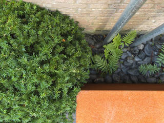 Kleine tuin in Made, De Rooy Hoveniers De Rooy Hoveniers Vườn phong cách hiện đại