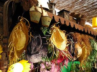 Plantas ornamentales de interior de flor, Viveros Alegre ti…