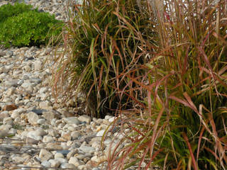 Zonas verdes em clínica, Atelier Jardins do Sul Atelier Jardins do Sul Jardines de estilo ecléctico