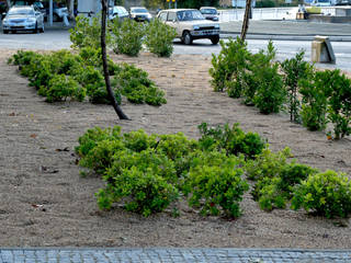 Zonas verdes em via pública, Atelier Jardins do Sul Atelier Jardins do Sul Jardines de estilo ecléctico