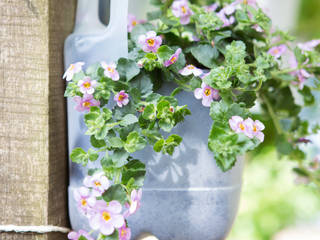 Frühlingsgarten, Pflanzenfreude.de Pflanzenfreude.de Jardines de estilo minimalista