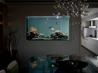 ADn saltwater aquarium, ADn Aquarium Design ADn Aquarium Design Modern Dining Room