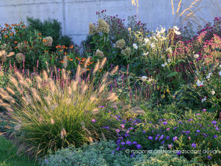 Un giardino collinare in stile Dutch Wave, Rosanna Castrini Landscape Design Rosanna Castrini Landscape Design Modern Garden