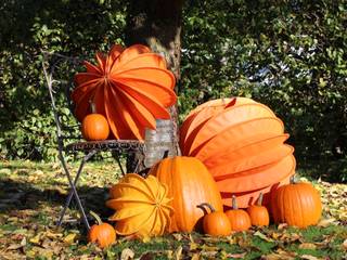 Der Barlooon als Gartendekoration im Herbst, Barlooon Germany GmbH Barlooon Germany GmbH Jardines de estilo ecléctico