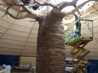 soffitto teso su baobab, artesa srl artesa srl Commercial spaces