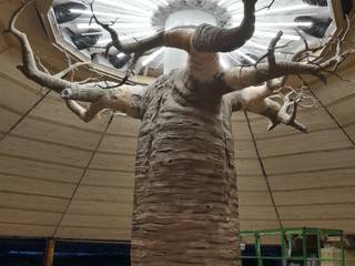 soffitto teso su baobab, artesa srl artesa srl Gewerbeflächen