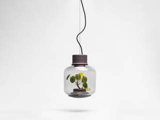 Mygdal Plantlamp, Nui Studio Nui Studio ห้องโถงทางเดินและบันไดสมัยใหม่