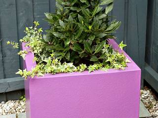 Bay tree cone in fibreglass planter Gardenplan Design สวน