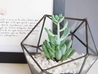 Terrario Icosaedro, ZetaGlass ZetaGlass Modern garden Glass