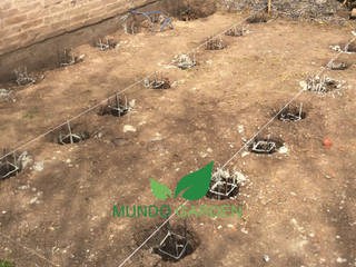 JARDÍN DE INVIERNO / LIVING EXTERIOR, Mundo Garden Mundo Garden Minimalistischer Wintergarten