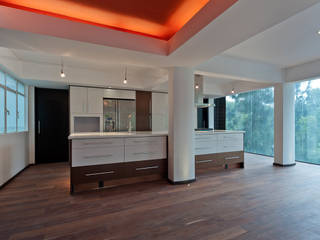 Ludovico, All Arquitectura All Arquitectura مطبخ خشب Wood effect