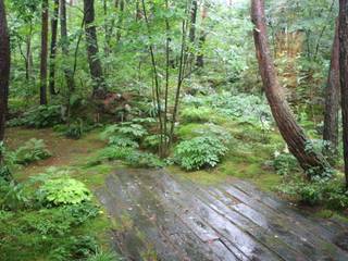 有明K邸, 庭のクニフジ 庭のクニフジ Jardins modernos