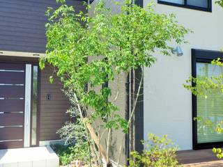 花水木と山法師の庭, 山佐の庭 ヤマサ種苗園 山佐の庭 ヤマサ種苗園 Moderne tuinen Hout Hout