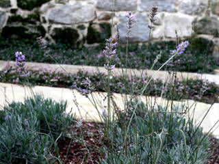 JARDIN DOMESTICO EN MAÑUFE.GONDOMAR, RUTH GUNDÍN VILLAR RUTH GUNDÍN VILLAR Jardines rurales