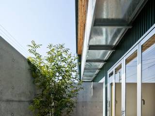 瀬戸のSimple Box House, 有限会社 橋本設計室 有限会社 橋本設計室 Jardines modernos: Ideas, imágenes y decoración