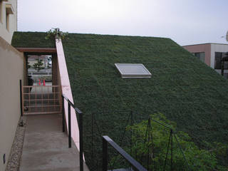 「もやいの仕事」・・・新築・・・, もやい建築事務所 もやい建築事務所 Modern houses Bamboo Green