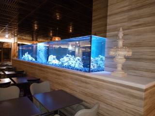 ADn´s cichlids aquarium, ADn Aquarium Design ADn Aquarium Design Salas de estar clássicas