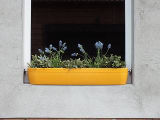 Windowgreen: Der Blumenkasten für die Fensterbank, Pragmatic Design® by studio michael hilgers Pragmatic Design® by studio michael hilgers Vườn phong cách hiện đại