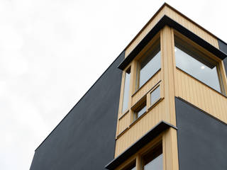 原風景を写す家, 風景のある家.LLC 風景のある家.LLC Scandinavian style houses Wood Wood effect