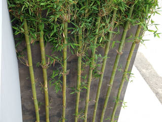 CAROLCO 2, GF ARQUITECTOS GF ARQUITECTOS Modern Garden Bamboo Green