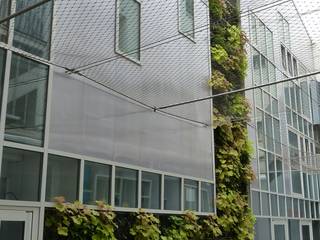 Végétaux naturels - Façade végétalisée / Mur végétalisé extérieur (Créche), Vertical Flore Vertical Flore Industriale Häuser