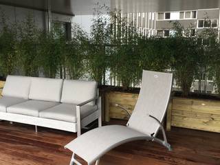 Une terrasse à Paris, DCPAYSAGE DCPAYSAGE Balcones y terrazas clásicos Bambú Verde