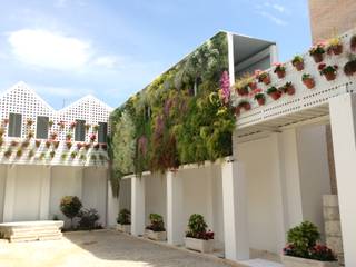 Jardín Vertical en Antiguas Bodega Mora, Terapia Urbana, Diseño de jardines verticales Terapia Urbana, Diseño de jardines verticales Сад в стиле модерн