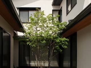 中庭のある家, 荒井好一郎建築設計室 荒井好一郎建築設計室 Casas estilo moderno: ideas, arquitectura e imágenes