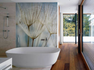 Dandelions Pixers Modern Bathroom wall mural,wallpaper,dandelion