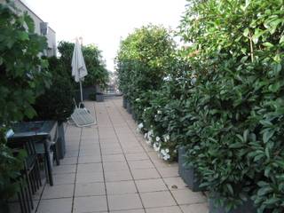 Dachterrasse, Landschaftsplanung Burkart Landschaftsplanung Burkart