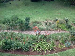 AN INDIGENOUS KLOOF GARDEN, Paul's Plantscapes Landscapes Paul's Plantscapes Landscapes حديقة