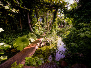 Idyllischer Naturgarten im Regenwaldstil , Gartenarchitekturbüro Timm Gartenarchitekturbüro Timm Jardin tropical