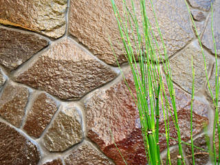 大河の庭, 作庭処 植徳 作庭処 植徳 Modern style gardens