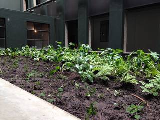 City Rooftop, Simon Clements: Garden & Landscape Design Simon Clements: Garden & Landscape Design Espacios comerciales