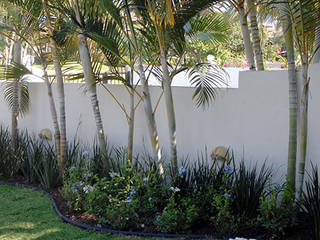 JARDINES PEQUEÑOS, Tropico Jardineria Tropico Jardineria Jardines de estilo moderno