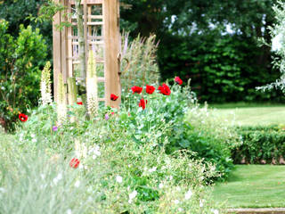 Josselyn's, Aralia Aralia Classic style garden Wood Red